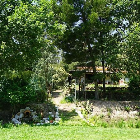 Quinta Do Vale Grande Villa Albergaria-a-Velha Buitenkant foto