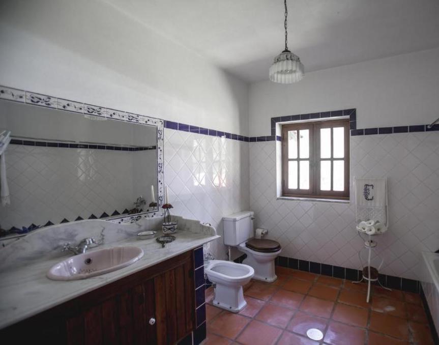 Quinta Do Vale Grande Villa Albergaria-a-Velha Buitenkant foto