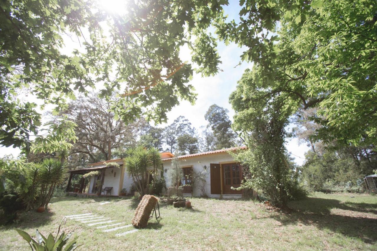Quinta Do Vale Grande Villa Albergaria-a-Velha Buitenkant foto
