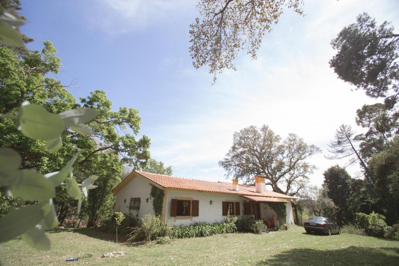 Quinta Do Vale Grande Villa Albergaria-a-Velha Buitenkant foto