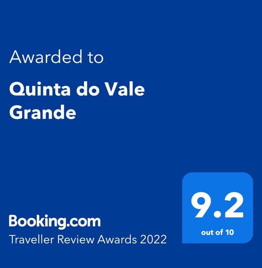 Quinta Do Vale Grande Villa Albergaria-a-Velha Buitenkant foto