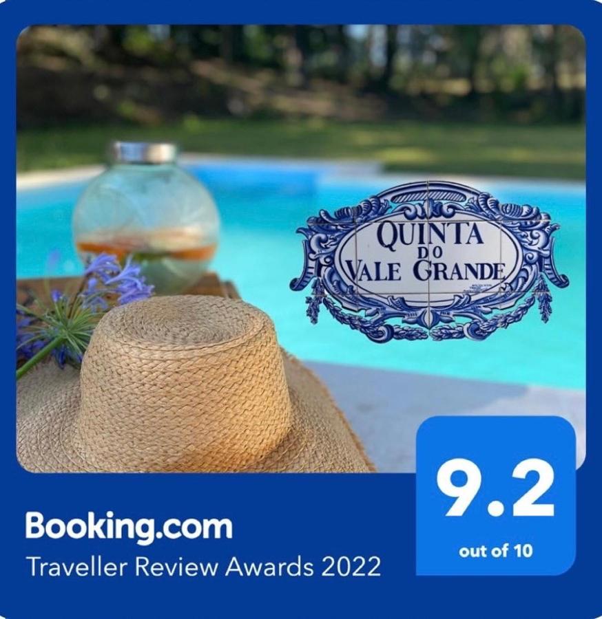 Quinta Do Vale Grande Villa Albergaria-a-Velha Buitenkant foto