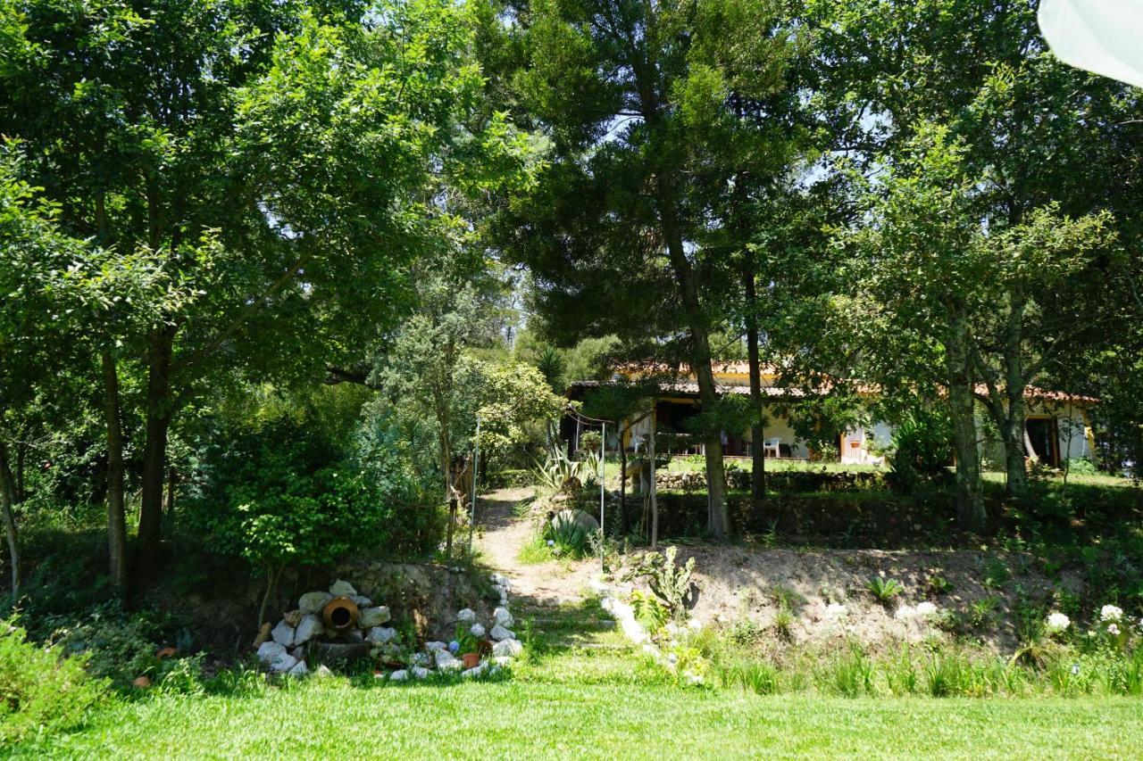 Quinta Do Vale Grande Villa Albergaria-a-Velha Buitenkant foto