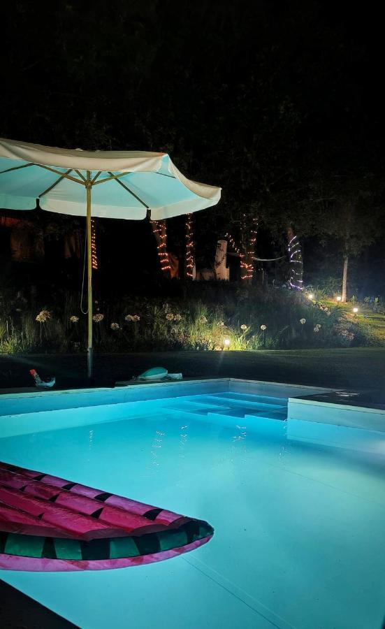 Quinta Do Vale Grande Villa Albergaria-a-Velha Buitenkant foto