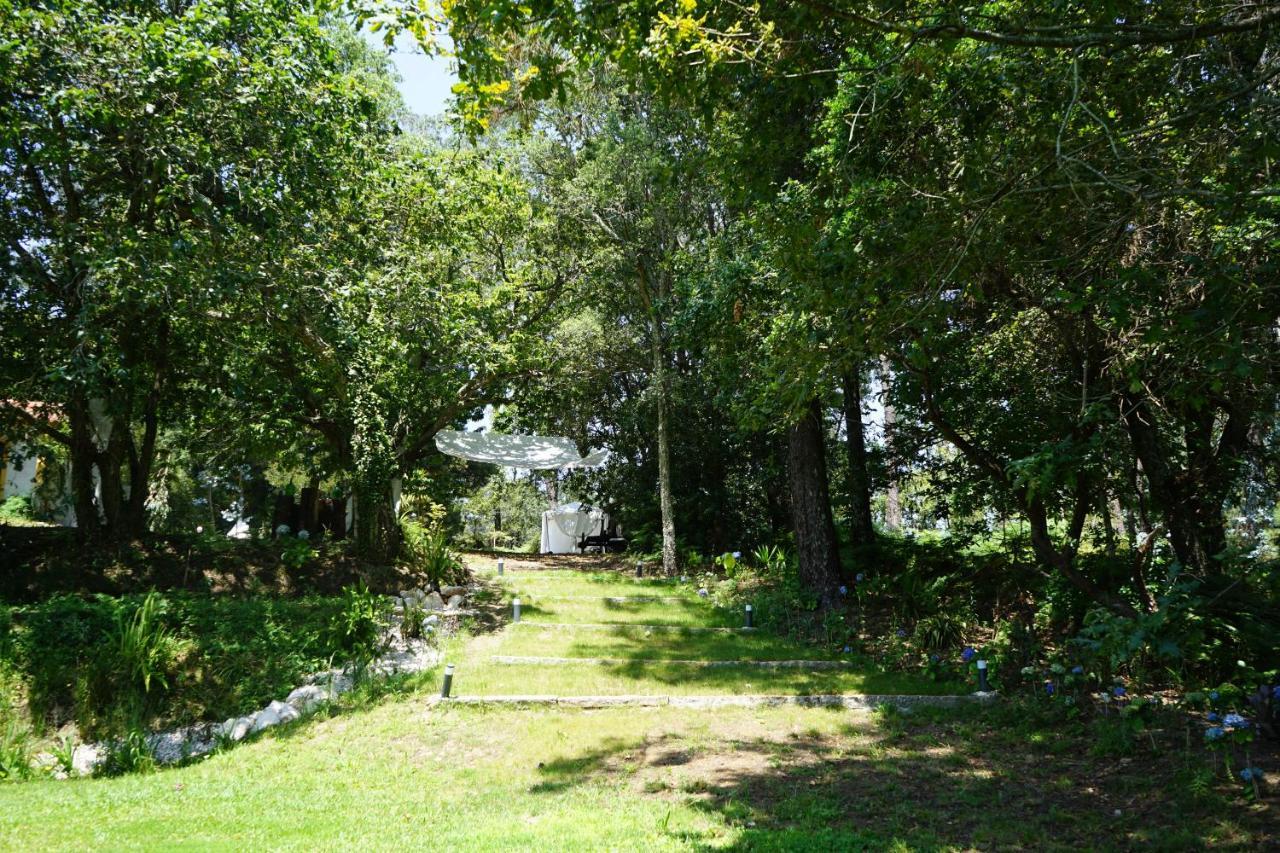 Quinta Do Vale Grande Villa Albergaria-a-Velha Buitenkant foto