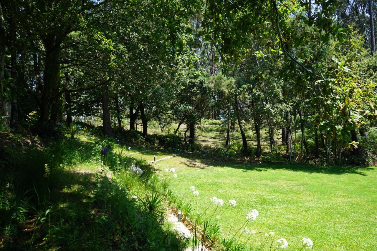 Quinta Do Vale Grande Villa Albergaria-a-Velha Buitenkant foto