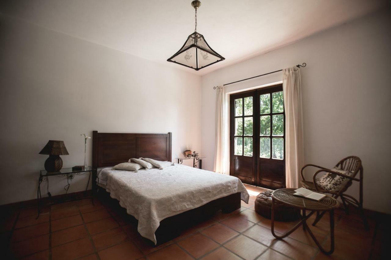 Quinta Do Vale Grande Villa Albergaria-a-Velha Buitenkant foto